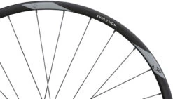 Newmen Evolution SL A.30 FADE Boost Disc 6-Loch 29" Laufradsatz -Fahrradzubehör 333104