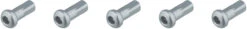 Dt-swiss Pro Lock® Hidden Alu-Nippel 2,0 Mm - 5 Stück